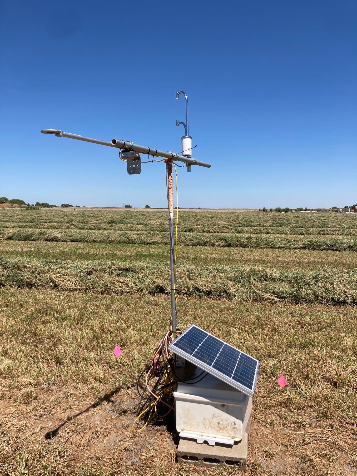 LI-COR LI-710 Evapotranspiration Sensor in an alfalfa field